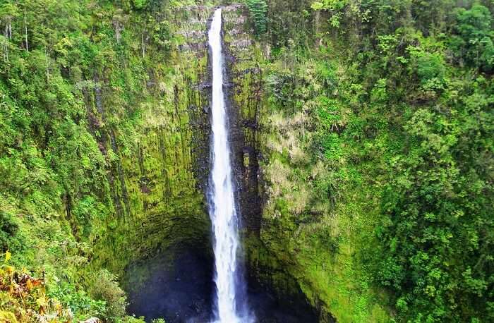 Best Things To Do In Hawaii