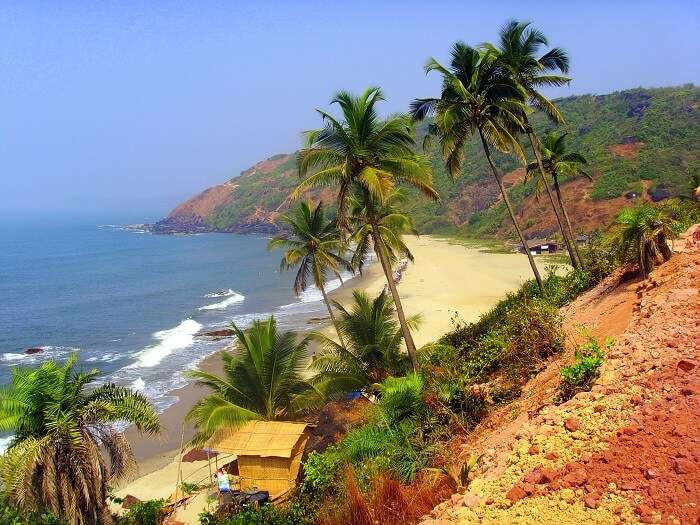 Arambol_beach goa no selfie