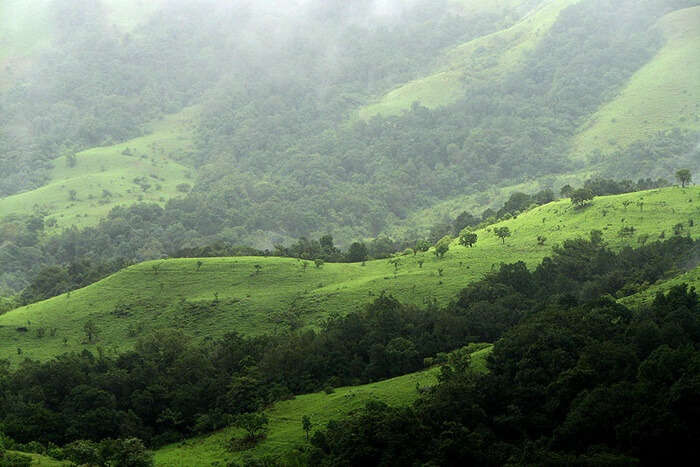 Best Time To Visit Kudremukh National Park