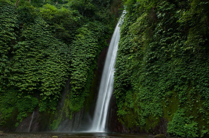 plenty of greeneries with natural waterfall