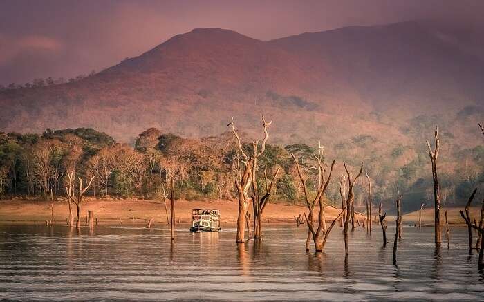 Boating in Periyar National Park 