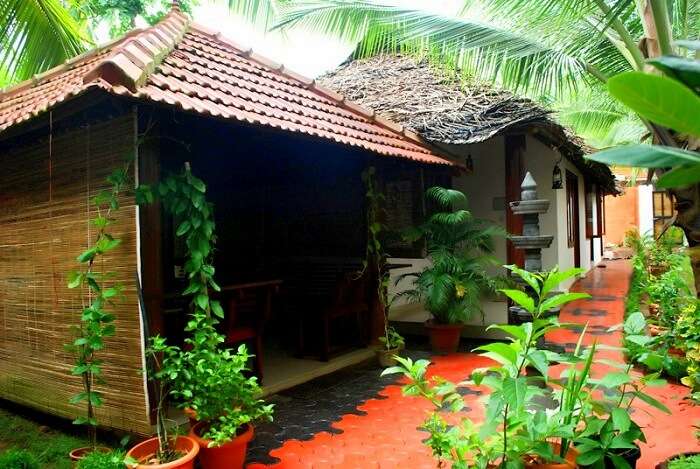 Ayurvedic Resort is a terrific place to stay