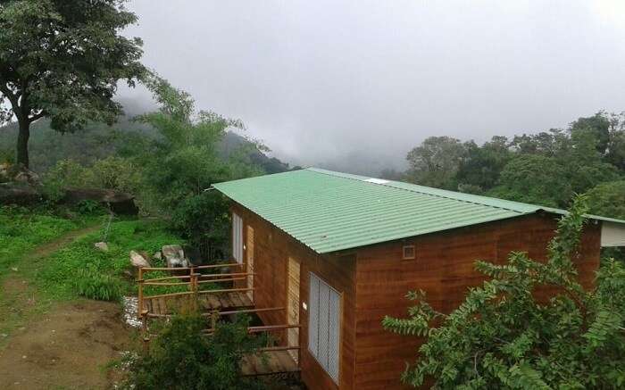 Forest Eco Lodge – Lush lush surroundings and rich with exotic flora and fauna 