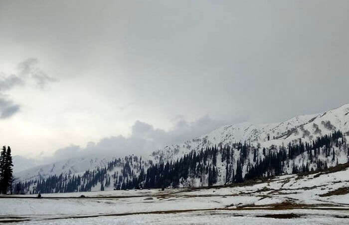 gulmarg covered in snow