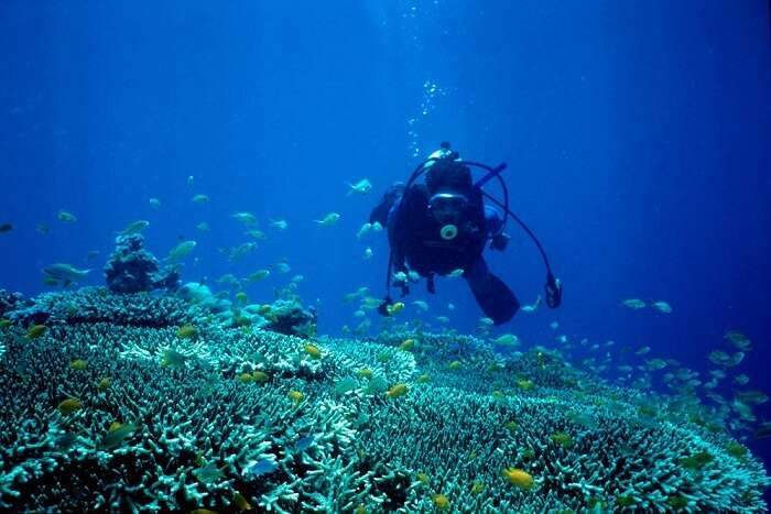 Mactan Island philippines