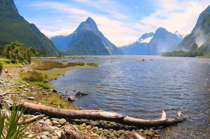 Milford Sound queenstown