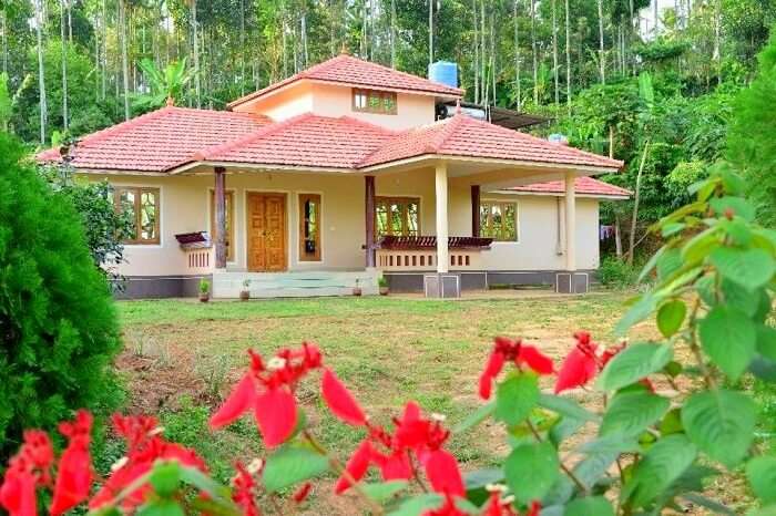 Attractive villa surrounded by greenery