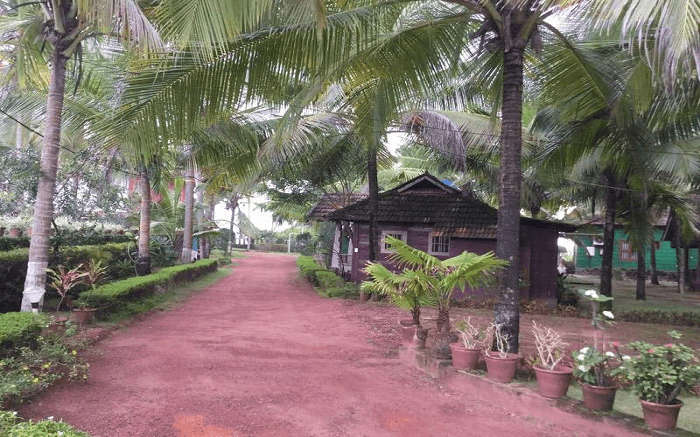 Pranav Resort amid a palm fringed premises in Kann