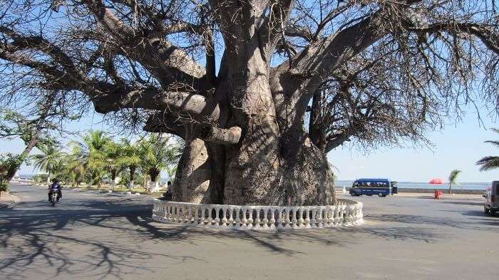 La corniche madagascar