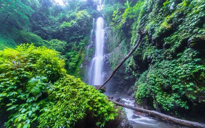 a beautiful waterfall amid foliage 