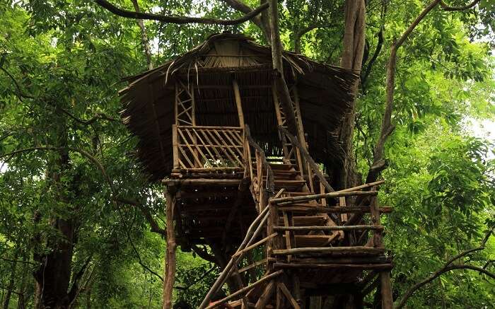 a kerala style tree house s