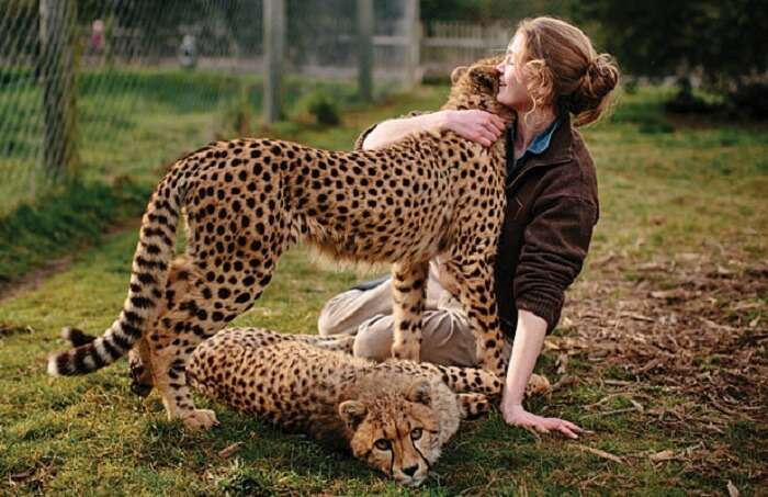 a woman playing with two leopards