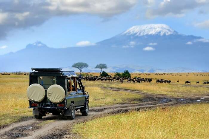 acj-2906-masai-mara-national-park (16)