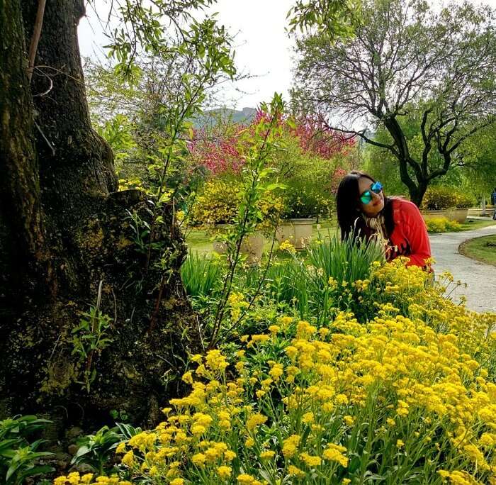 Mughal Garden Kashmir