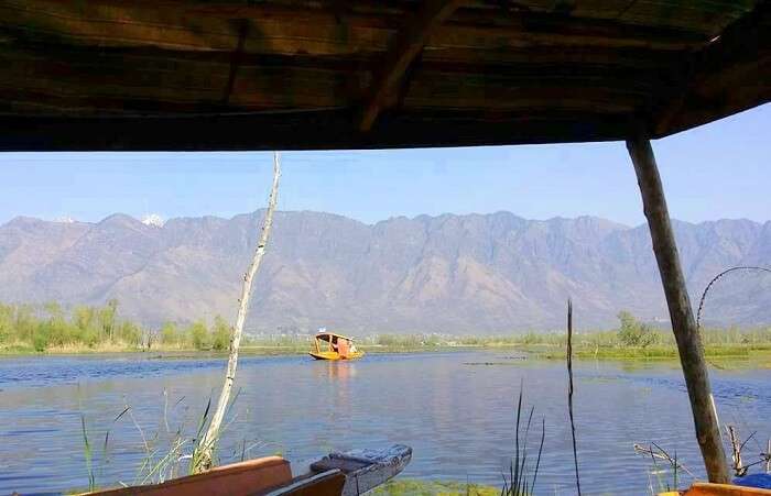 Shikara ride on Dal Lake