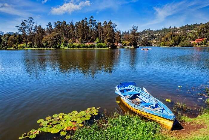 kodaikanal boat lake