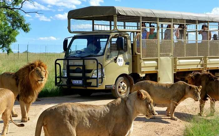 family places to visit in johannesburg