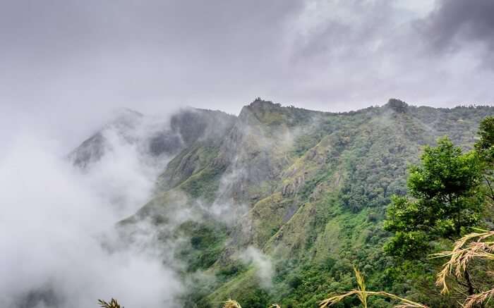 misty mountains of Kerala ss27062018