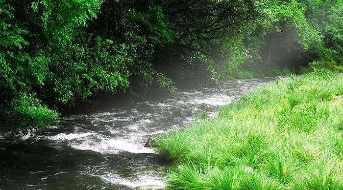 natural pool in kudremukh