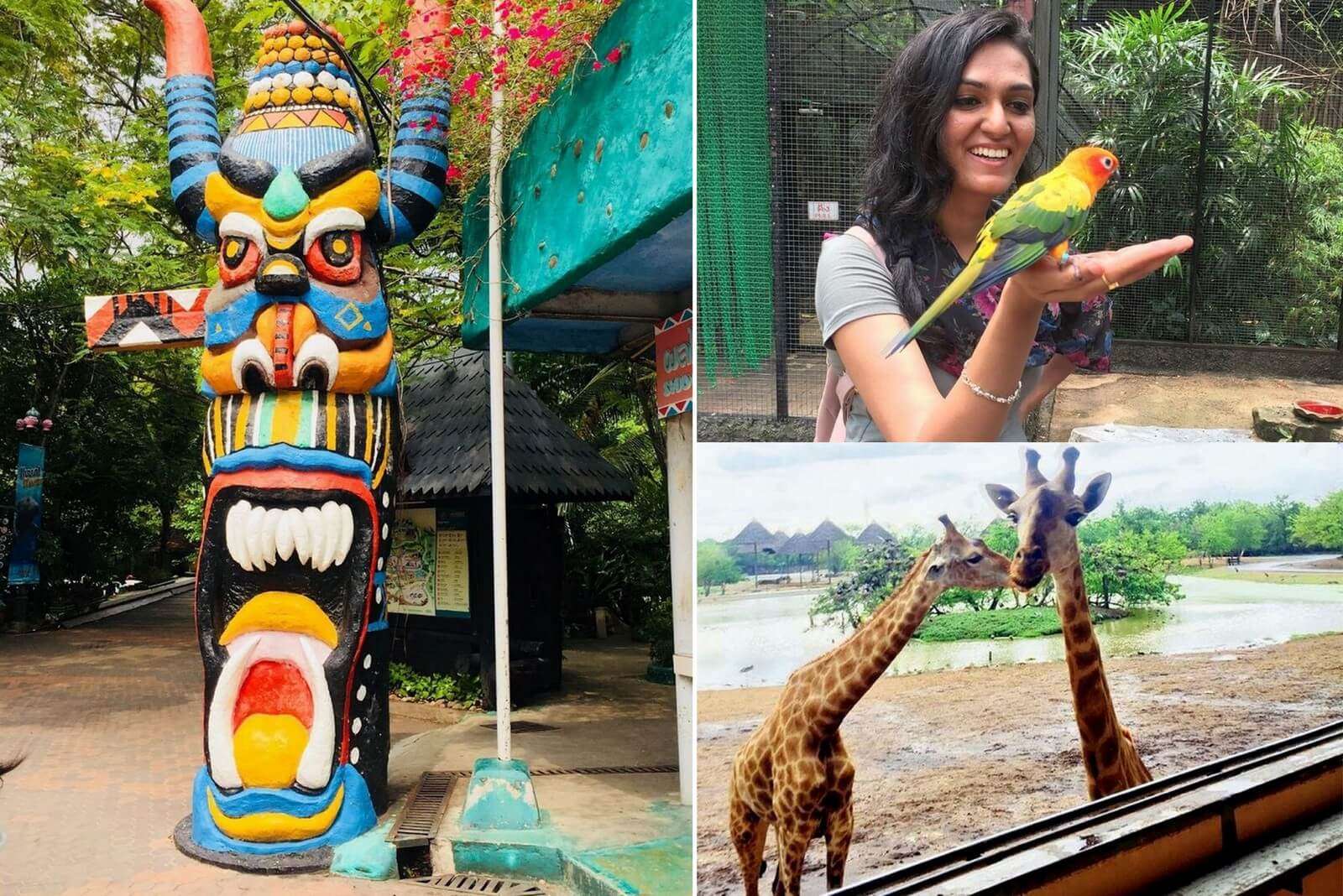 pooja thailand all girls trip collage