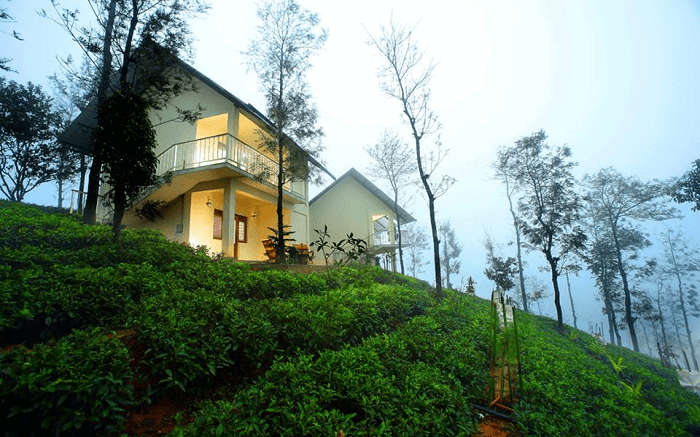 the beautiful Winter Vale amid tea gardens 