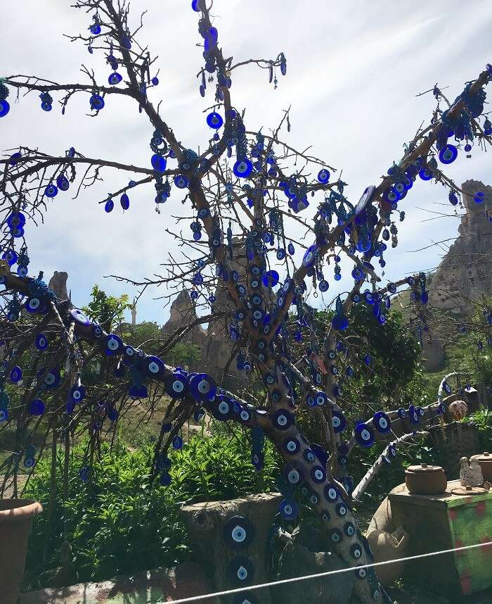 Evil Eye Tree