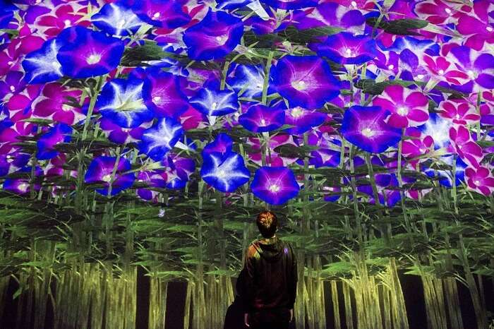 psychedelic digital art museum in tokyo