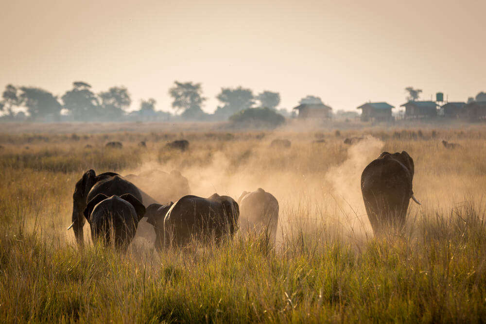 Addo Elephant National Park