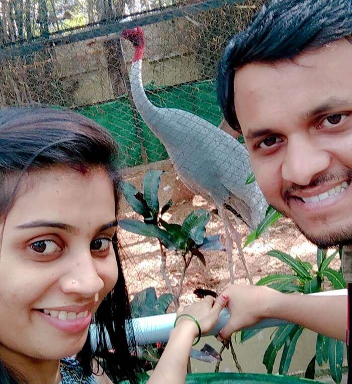 couple in myzore zoo