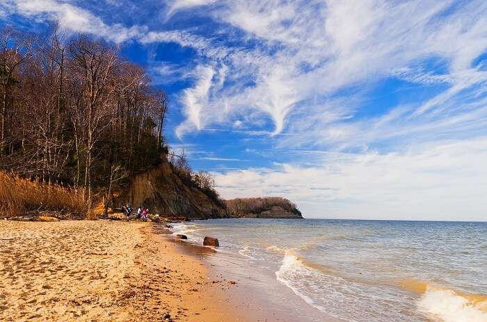 Calvert Cliffs State Park Beach