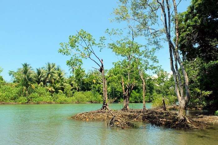 Corvocado National Park