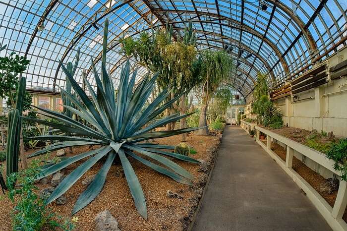 do not miss the tropical paradise created in the conservatory’s