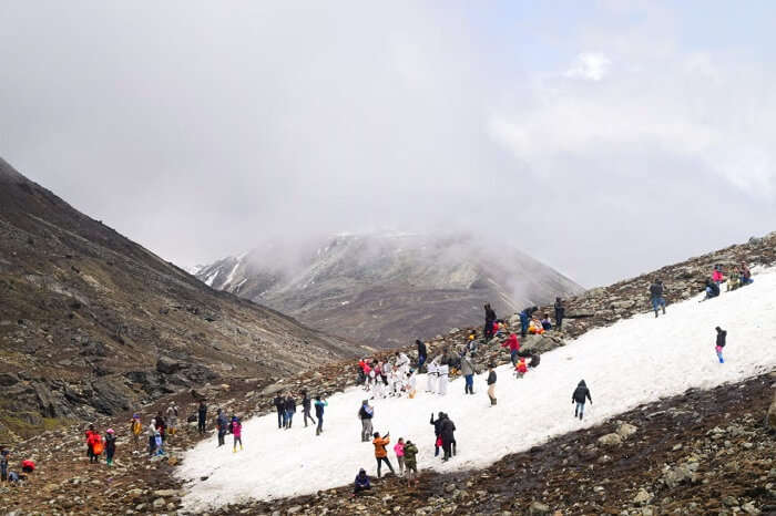 Yumthang Valley 