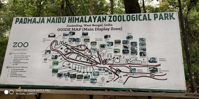 Himalayan zoo 