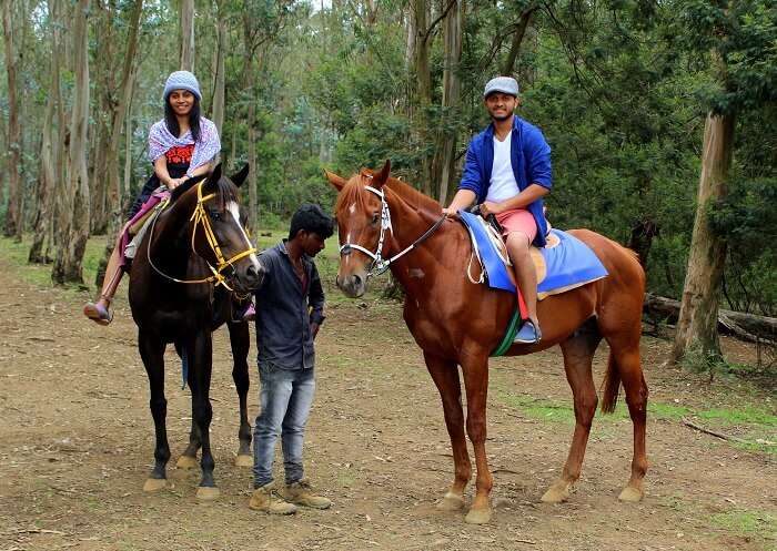 horse riding in ooty