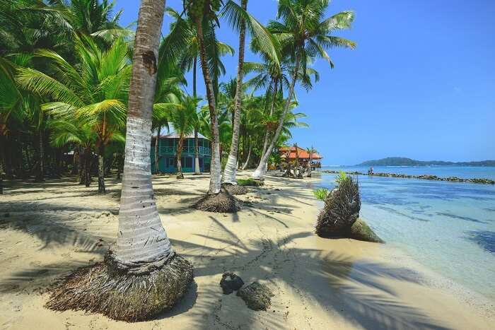 Isla Carenero Bocas del Toro Panama