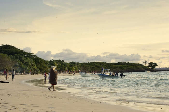 Isla Iguana panama