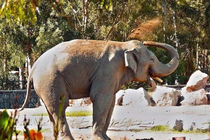 Izmir Natural Life Park