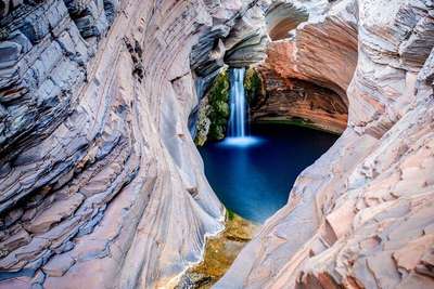 are dogs allowed in national parks in australia