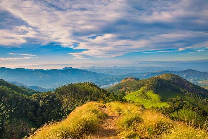 Kolukkumalai Estate, Idukki