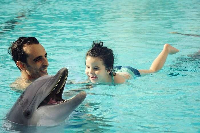 Let your kids enjoy a free visit to the Dubai Dolphinarium