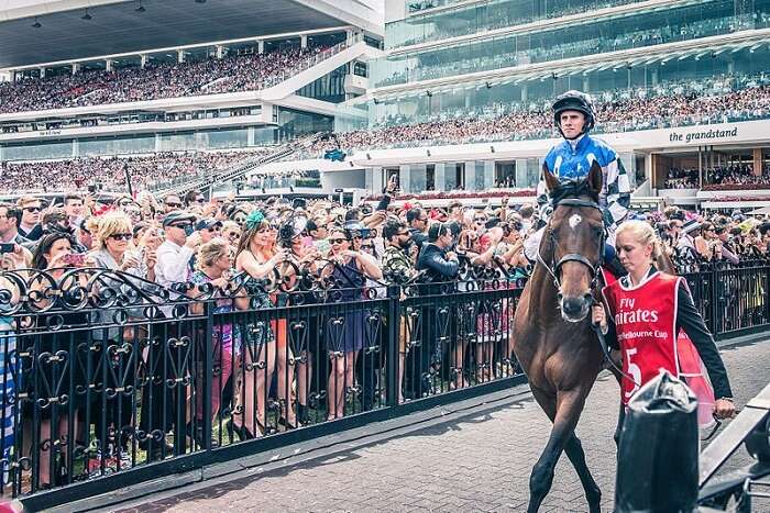 Melbourne Cup - Spring Racing Carnival