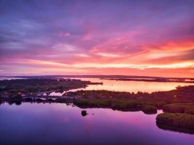 quiet island boasts of a wonderful mangrove forest