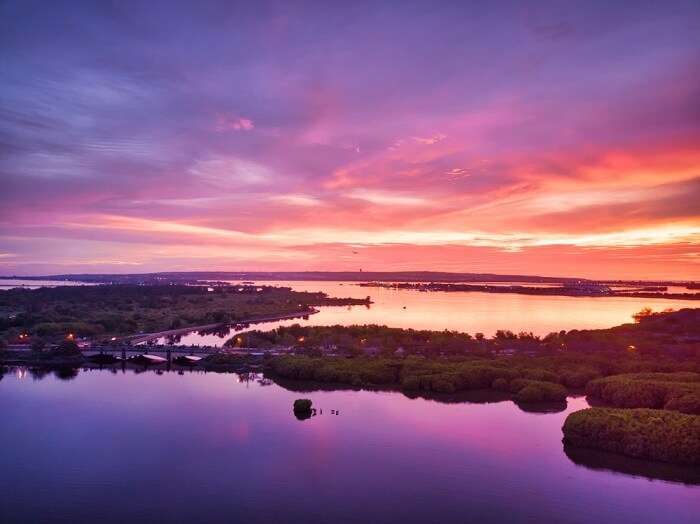 quiet island boasts of a wonderful mangrove forest