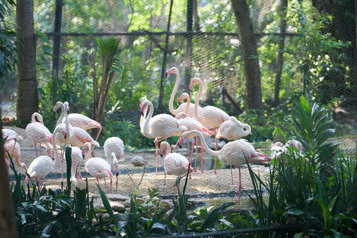 Zoo di Napoli in Naples, italy