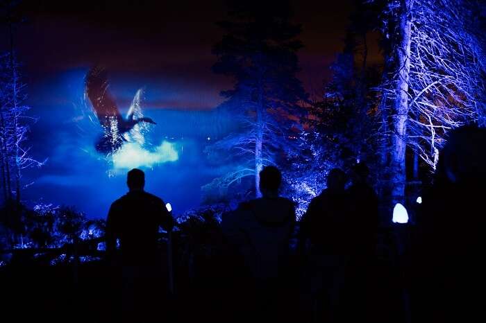 People enjoying nighttime walk in Whister