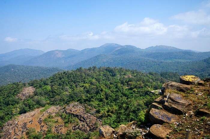 Biligirirangan Hills: Know Everything About This Offbeat Paradise In 2022!