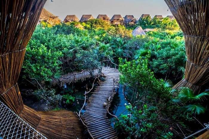 adventurous path at Azulik Eco Resort