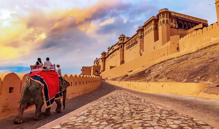 jaipur amer fort elephant