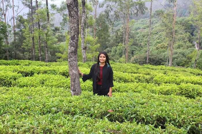 kanika ooty trip tea park